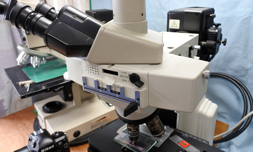 顕微鏡